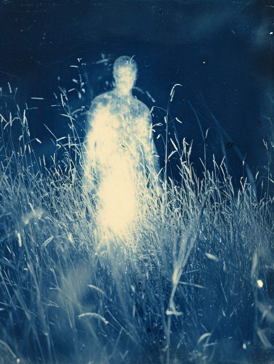 GinaChoy_'s tweet image. Earth Magic

1. @hanneshummel 
2. @etozheques 
3.@byccollective 
4. @bugindreamland 

#NFTCuration