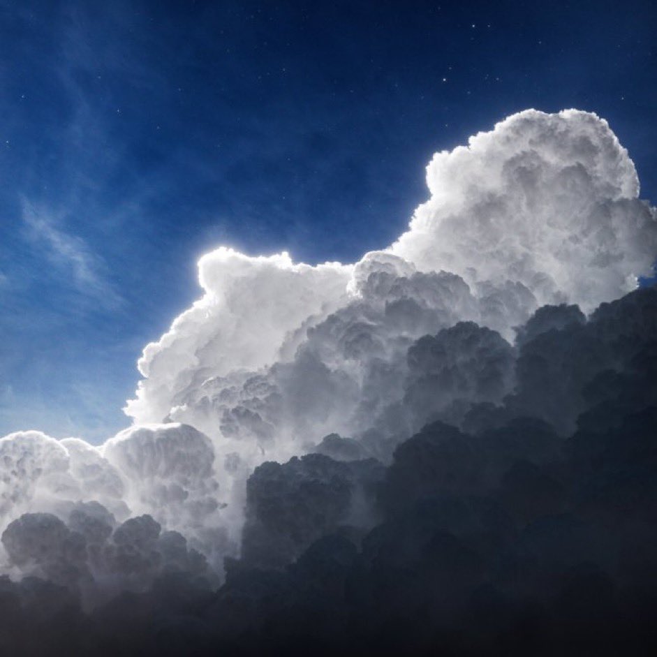 GinaChoy_'s tweet image. Earth Magic

1. @hanneshummel 
2. @etozheques 
3.@byccollective 
4. @bugindreamland 

#NFTCuration