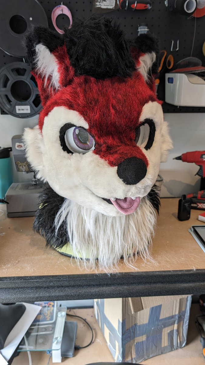 An old friend is visiting the workshop for some fixes and upgrades! 

Very excited to give this boy a small refresh <a href="/ArcoHusky/">Arco Husky</a>