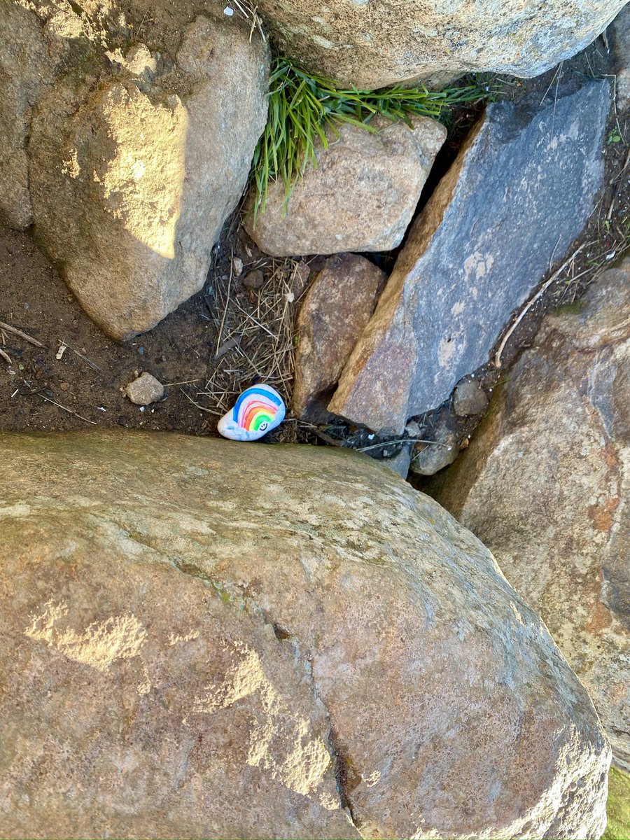 I found these 4 rocks sitting on a tree stump next to a residential driveway. Tradition is that if you find a painted rock, you share it forward. I took the rainbow rock and then planted it at the peak of Cerro San Luis. Second pic is its new location.  #shareitforward