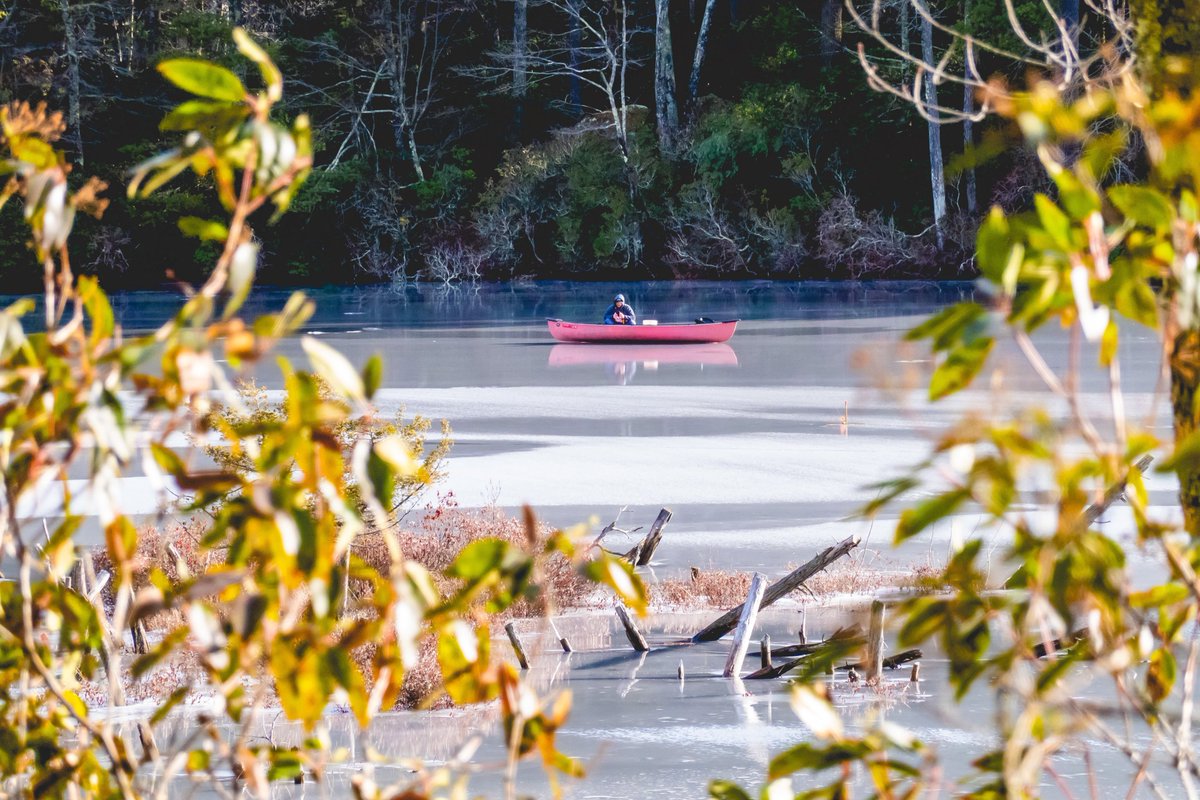 flomustgo's tweet photo. Do you think the ice would hold him without the boat?
Fisherman Fishing on thawing ice at Bigelow Hollow in Union, CT

#bigelowhollow #unionct #nipmuktrail #hikect #winter #icefishing #canoe https://t.co/wI83nmtvyJ