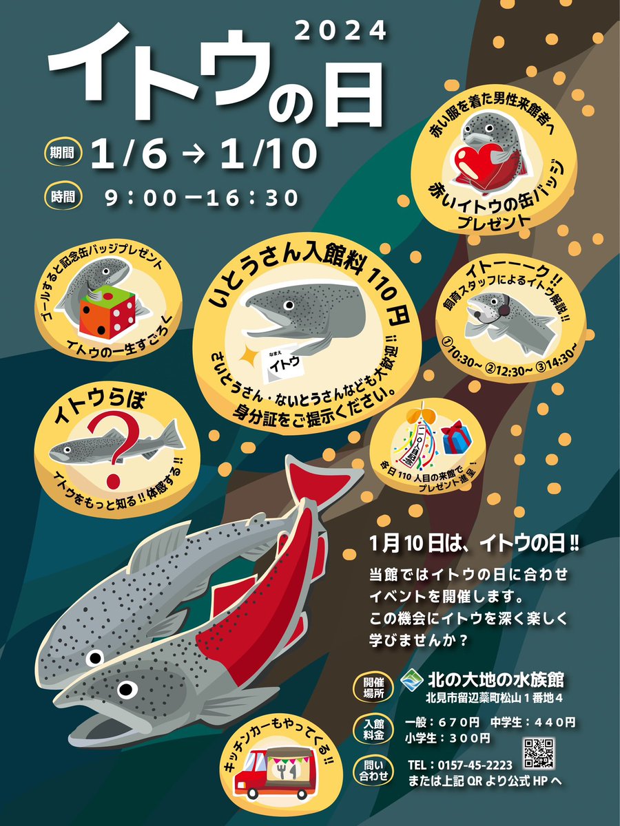 イトウの日 イベント、2日目開催中です！ ▶︎110人目来館で記念品