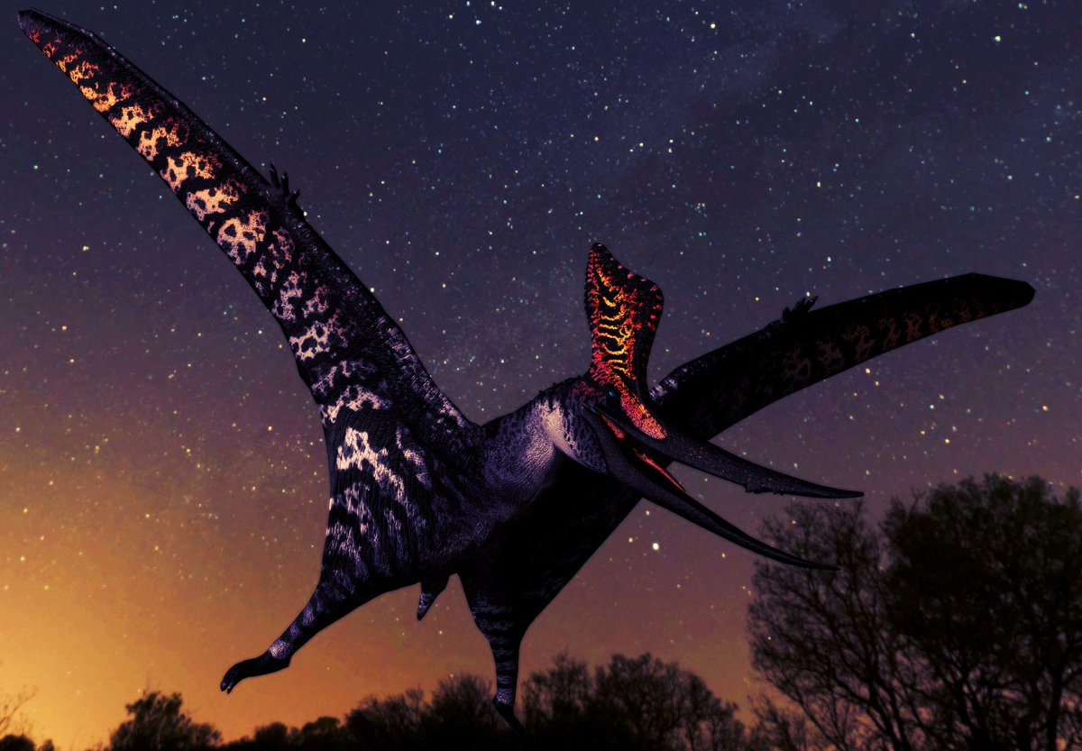 Maxsentia tweet media