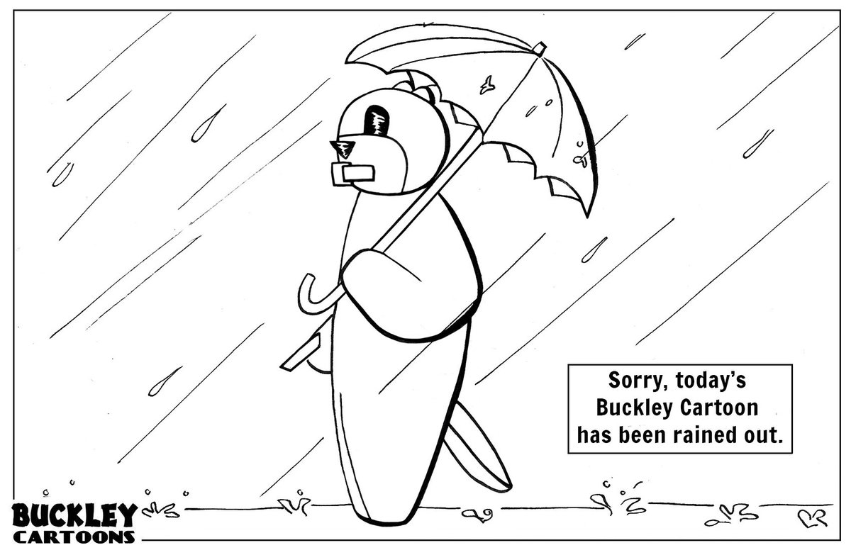 BuckleyCartoons's tweet image. #Sorry #Rain #Bummer #Beaver #Cartoon