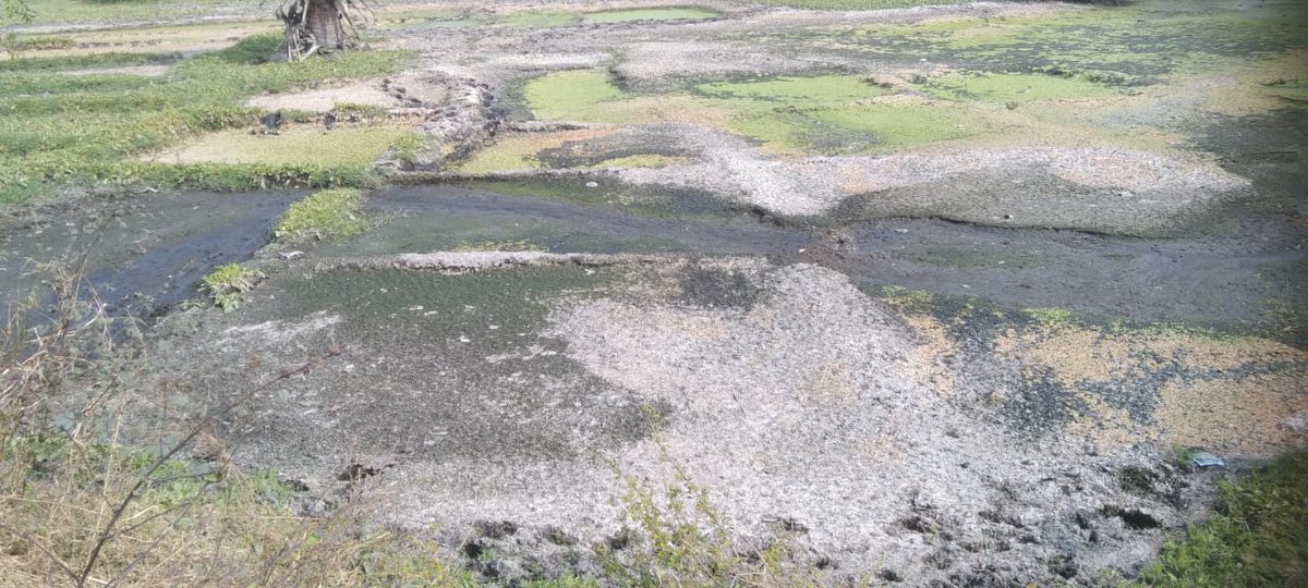 Nitish Kumar Naik tweet media