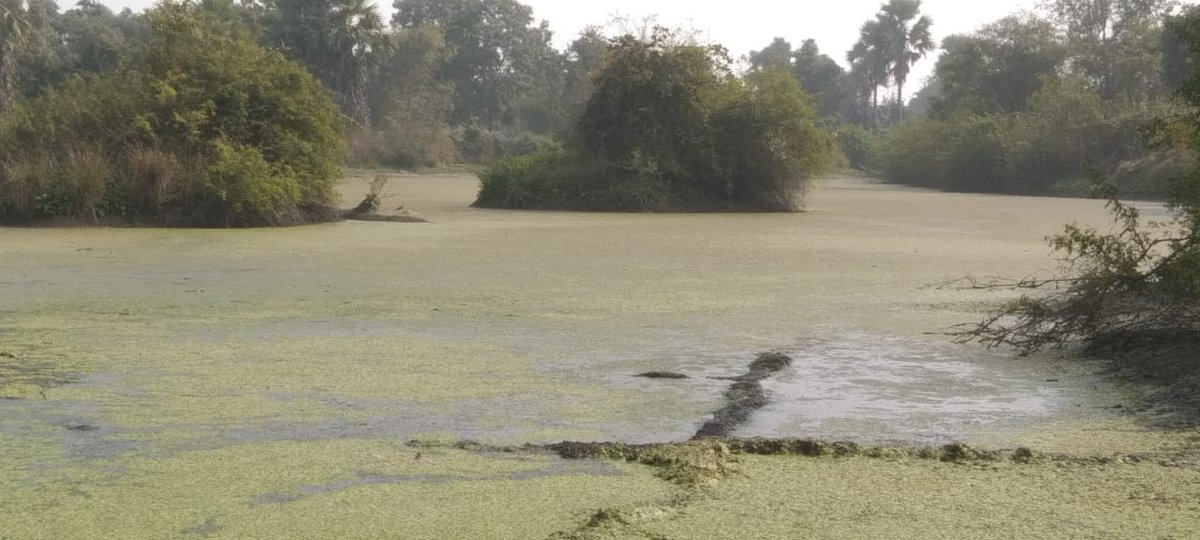 Nitish Kumar Naik tweet media