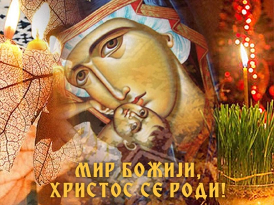 Миодраг 🇷🇸 tweet media