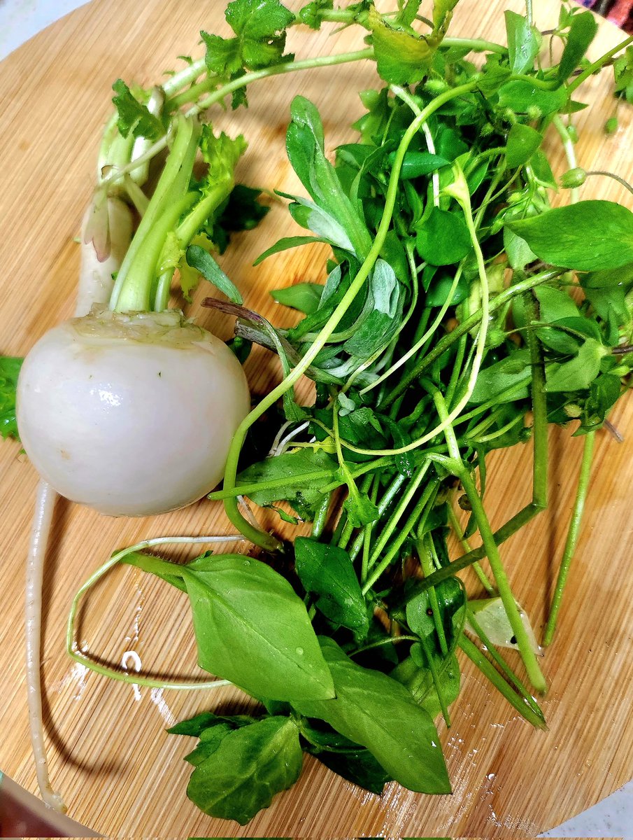 DJYamazoe's tweet image. 4時からSunday Music Passage 
今年も宜しくお願いします
#MusicTree は #ビヨンセ の新曲から
#PopLife は #テイラー・スウィフト をピックアップ
#MagicHourRequest 七草粥の日　万病を除くおまじないとして食べる習慣も
ということで「おまじないSONG」リクエスト待ってます
#smp765 
#fmcocolo765