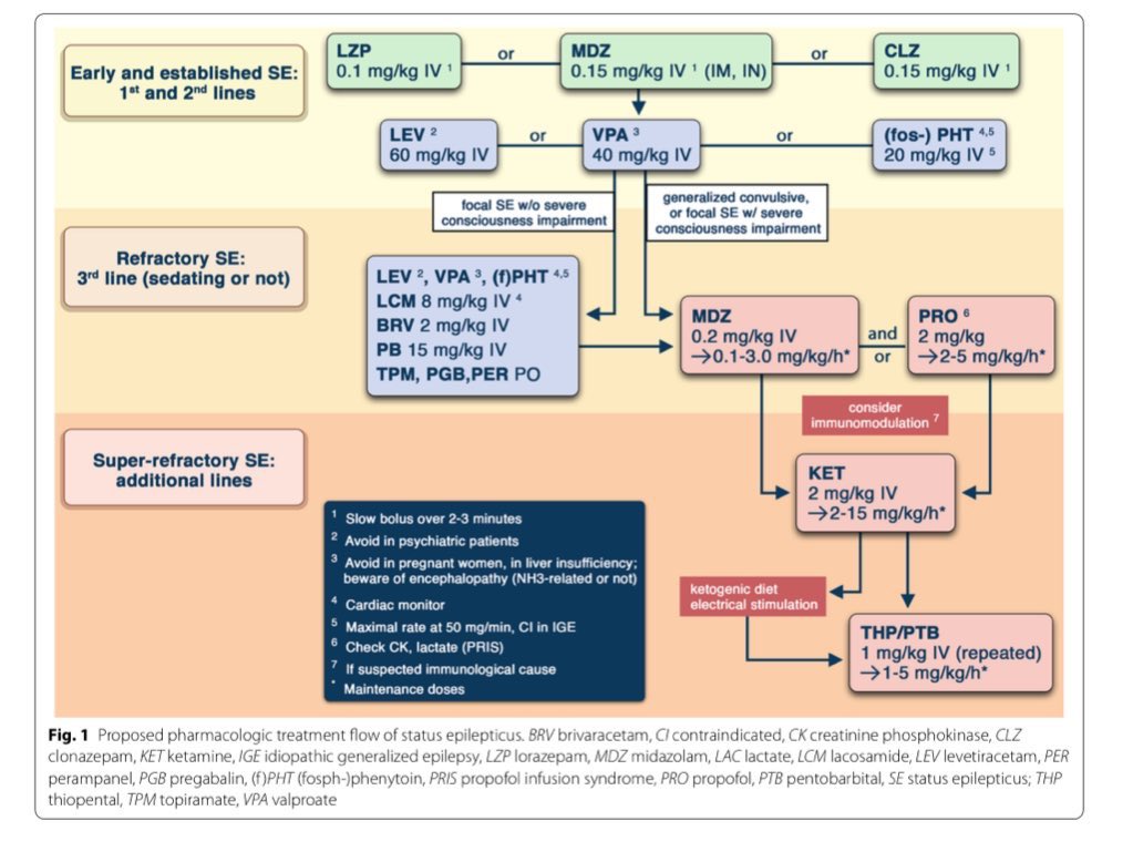 EmergPOCUS's tweet photo. Estado Epiléptico en la UCI 🏥🧠
#StatusEpilepticus

- 📚 #Definiciones:
  - 🔄 El Estado Epiléptico carece de un marcador biológico uniforme y es una entidad heterogénea.
  - 🕒 Se define como una convulsión epiléptica que continúa más allá de un tiempo determinado o se repite antes de que el paciente recupere su estado clínico base.
  - 🔎 Las convulsiones continuas pueden ser por descargas neuronales paroxísticas prolongadas o falla en las vías de terminación de la convulsión.

#Definiciones Temporales del Estado Epiléptico:
•🌐 Generalizado tónico-clónico:
•⏳ T1: 5 min (tiempo tras el cual es improbable la terminación espontánea)
•⚠️ T2: 30 min (tiempo tras el cual puede ocurrir daño neuronal)
•🔍 Focal con alteración de la conciencia:
•⏳ T1: 10 min (orienta el inicio del tratamiento)
•⚠️ T2: Más de 1 hora (informa sobre la agresividad del tratamiento)
•🚫 Ausencia:
•⏳ T1: Más de 15 min
•⚠️ T2: Probablemente nunca (indicando un bajo riesgo de daño neuronal)

- 🏷️ #Clasificación:
  - 📋 Incluye semiología clínica, etiología, características del EEG y edad.

  - 💊 Estado Epiléptico #refractario: 
Continúa a pesar de al menos dos medicamentos anticonvulsivos, incluido un benzodiazepínico.

  - 💉 Estado Epiléptico #superRefractario: Persiste a pesar de un ciclo de anestésicos.

- 🆕 Estado Epiléptico refractario de inicio nuevo (NORSE):
  - 🚫 En individuos previamente sanos sin causa estructural o tóxico-metabólica.

  - 🤒 Síndrome de epilepsia refractaria inducida por fiebre (FIRES): Aparece durante una enfermedad febril 1 a 14 días antes del inicio del Estado Epiléptico.

#Neurología #UCI #MedicinaIntensiva 🧠📈🚑

#MedicinadeEmergencias #UCI #Neurología 🧬🔬🧪👩‍⚕️👨‍⚕️