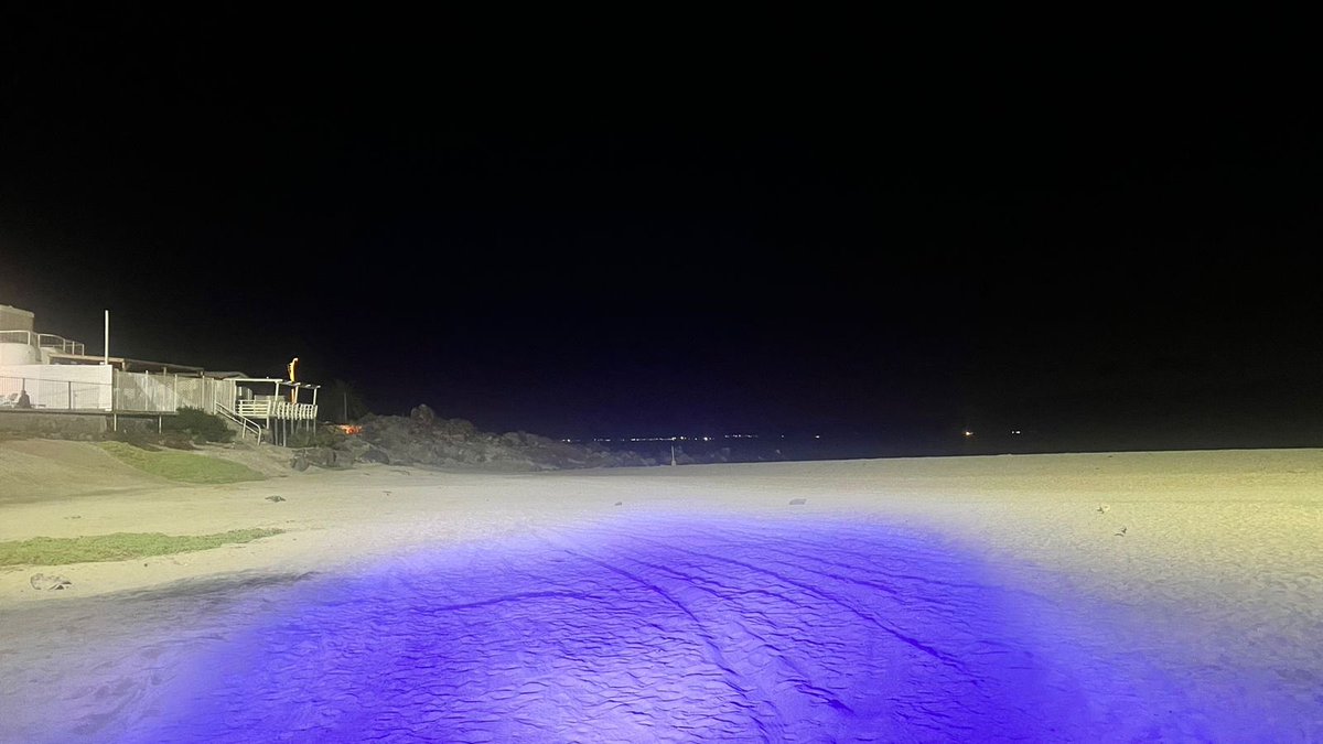 La #PolicíaMarítima de la Capitanía de Puerto de #Caldera, se mantiene efectuando patrullajes preventivos en las playas de la jurisdicción, fiscalizando ordenanza municipal que prohíbe acampar en playas de la Comuna.

#AutoridadMarítima
<a href="/Armada_Chile/">Armada de Chile</a> 
<a href="/DGTM_Chile/">DIRECTEMAR - Armada de Chile</a>