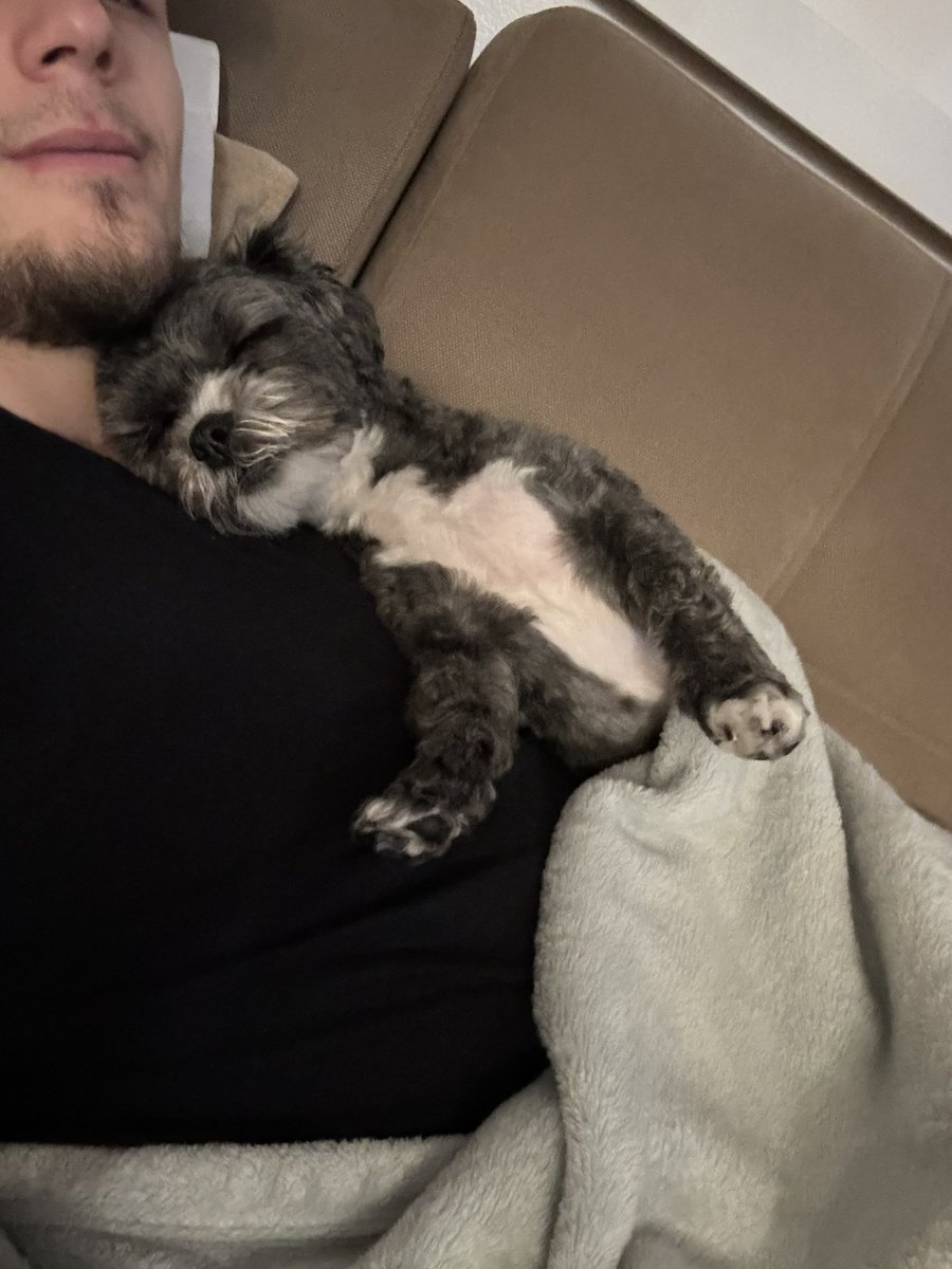 OfficialJaskoYT's tweet photo. Every time I come from a trip she doesn’t leave my side 🥲 https://t.co/9gzXeYLFjV