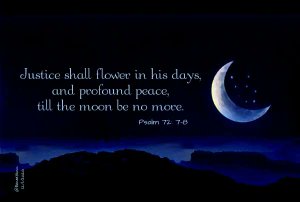 Cor et Lumen Christi Community Events (@clc_mff) on Twitter photo 