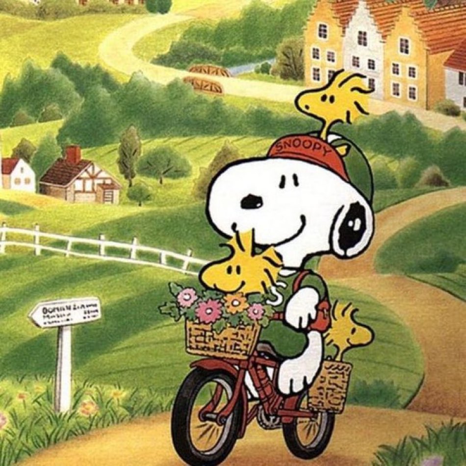 hrryberry's tweet photo. you were riding your bike to the sound of "its no big deal" 💐 https://t.co/OWvAlwNVy4