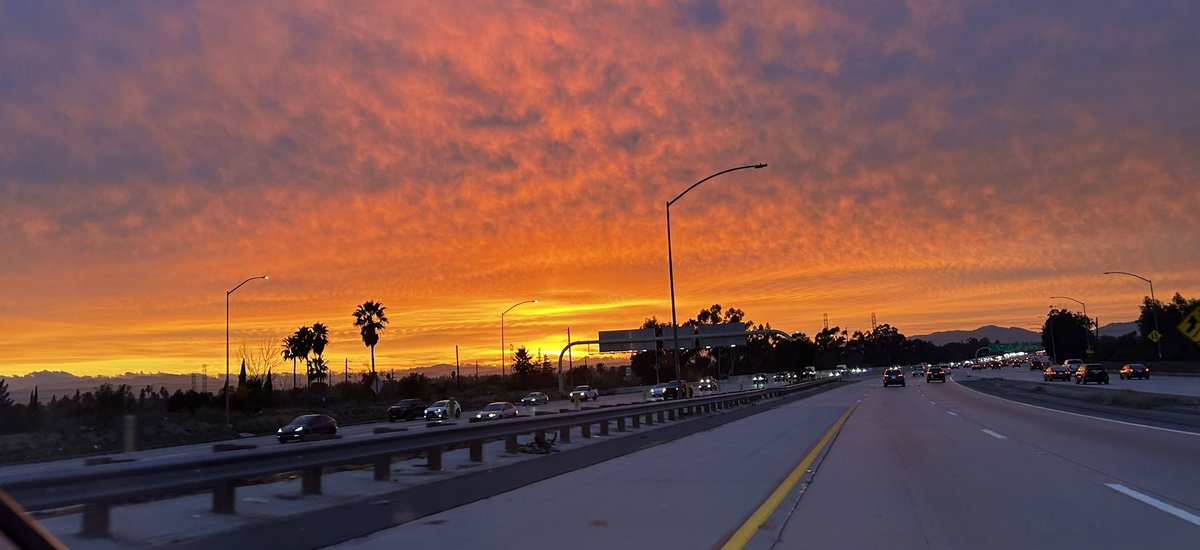 Teamster Driver Hollywood tweet media