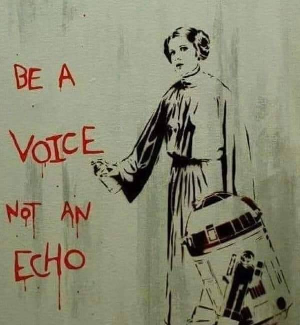 palephoenix's tweet photo. From my perspective, that means, "Don't just retweet. Add a comment, or at least an emoji. This isn't a guessing game. This is 2024. Stand for something, or get out of my way."
#RebelMoon #StarWars #LeiaSkywalkerOrgana #TruthAndConsequences #TheChangeYouWishToSee https://t.co/KtZiFgkAea