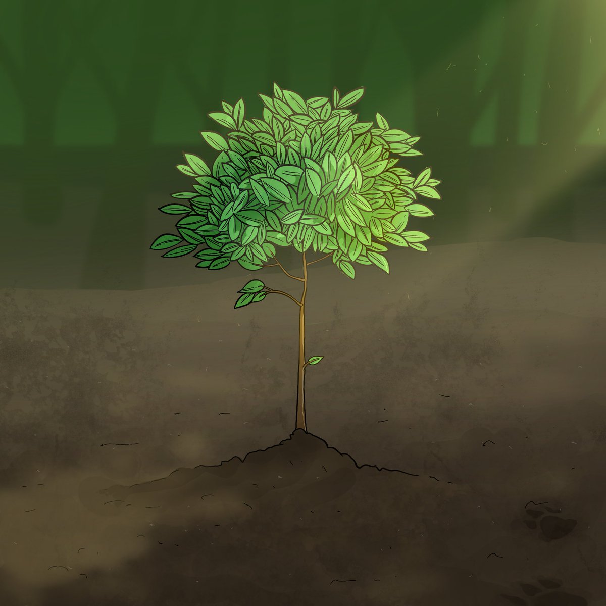 timelionsnft's tweet photo. Something big on #Solana is growing...

Like + RT to be considered for OG 🌲 https://t.co/6SQnMLYG8F
