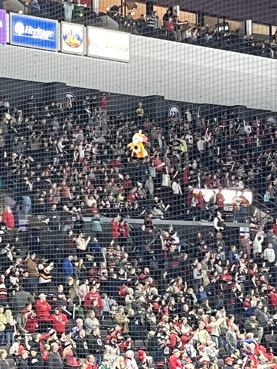 Jesse_Neack's tweet image. “Help, you guys, I’m stuck in the net at the @CincyCyclones game” from the #TeddyBearToss  - Lil’ Stuffy Fox -
