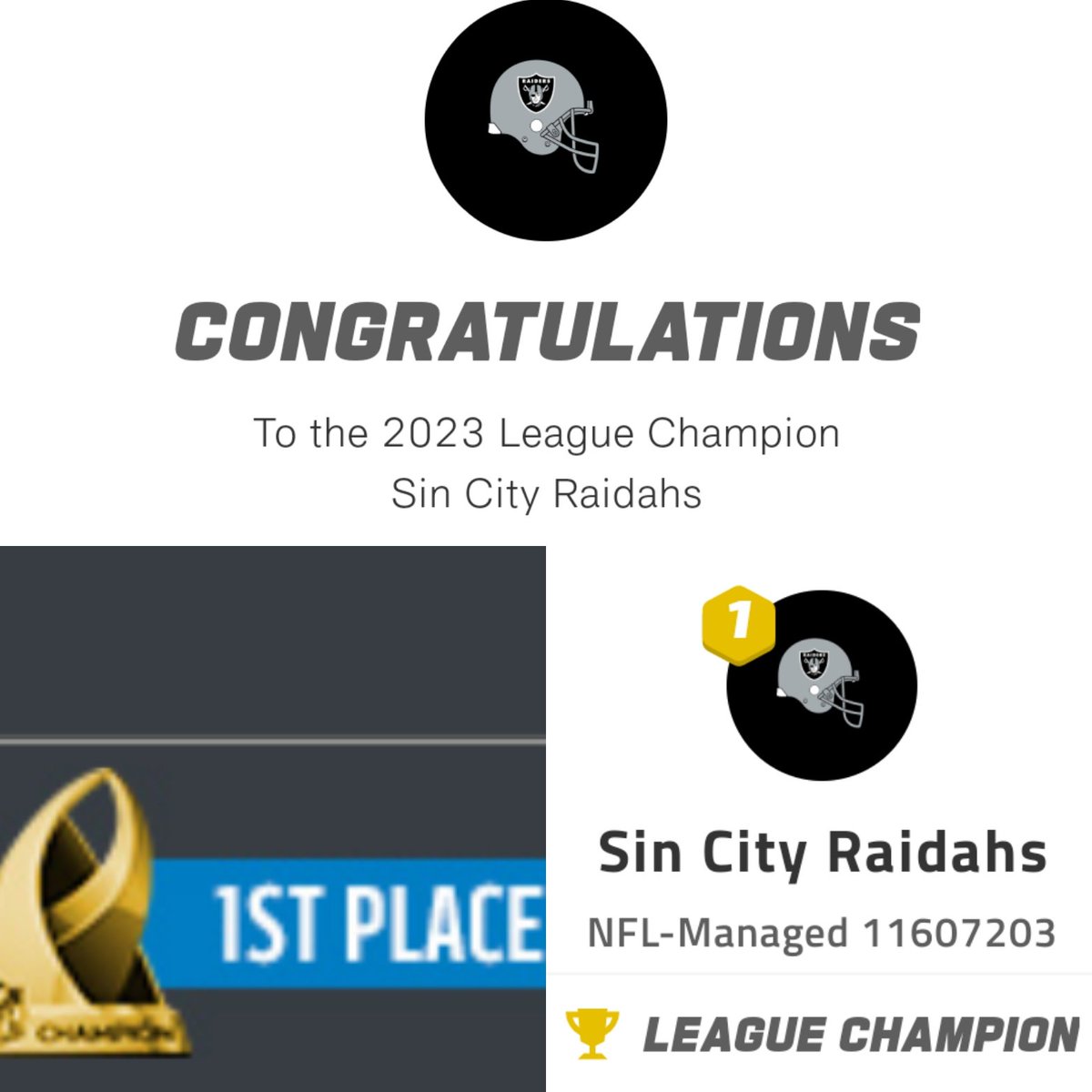 bronzesis's tweet photo. @NFLFantasy I won my NFL Fantasy public league 🏆 https://t.co/QPwbtL6yQA