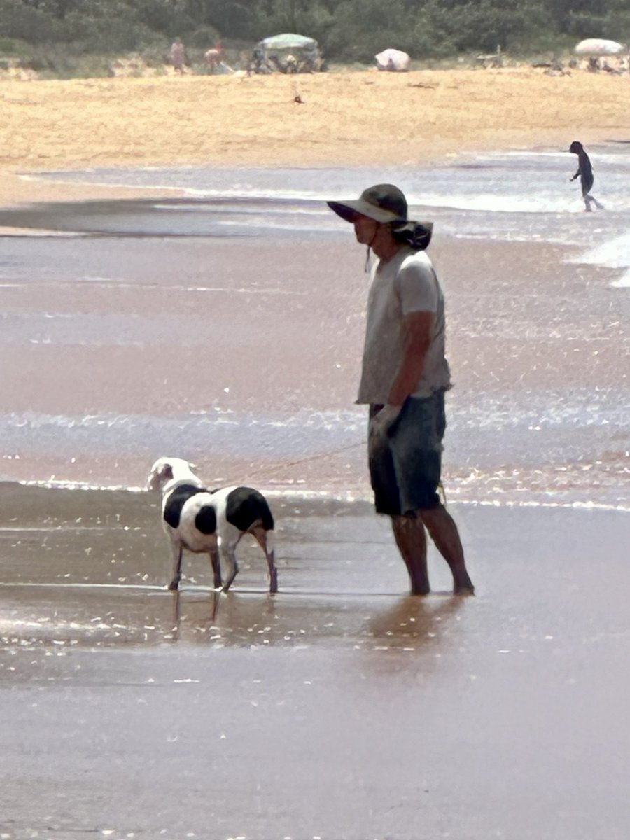 DeborahAnnG's tweet photo. If you see this man with this dog on #Killcare or #Putty beach. Give a WIDE berth. Dog was tied with rope and guy was wearing gloves. Dog was attacking any dogs off leash that came near it… #CentralCoast #dog @CCoastCouncil https://t.co/9O2cSvDZsq