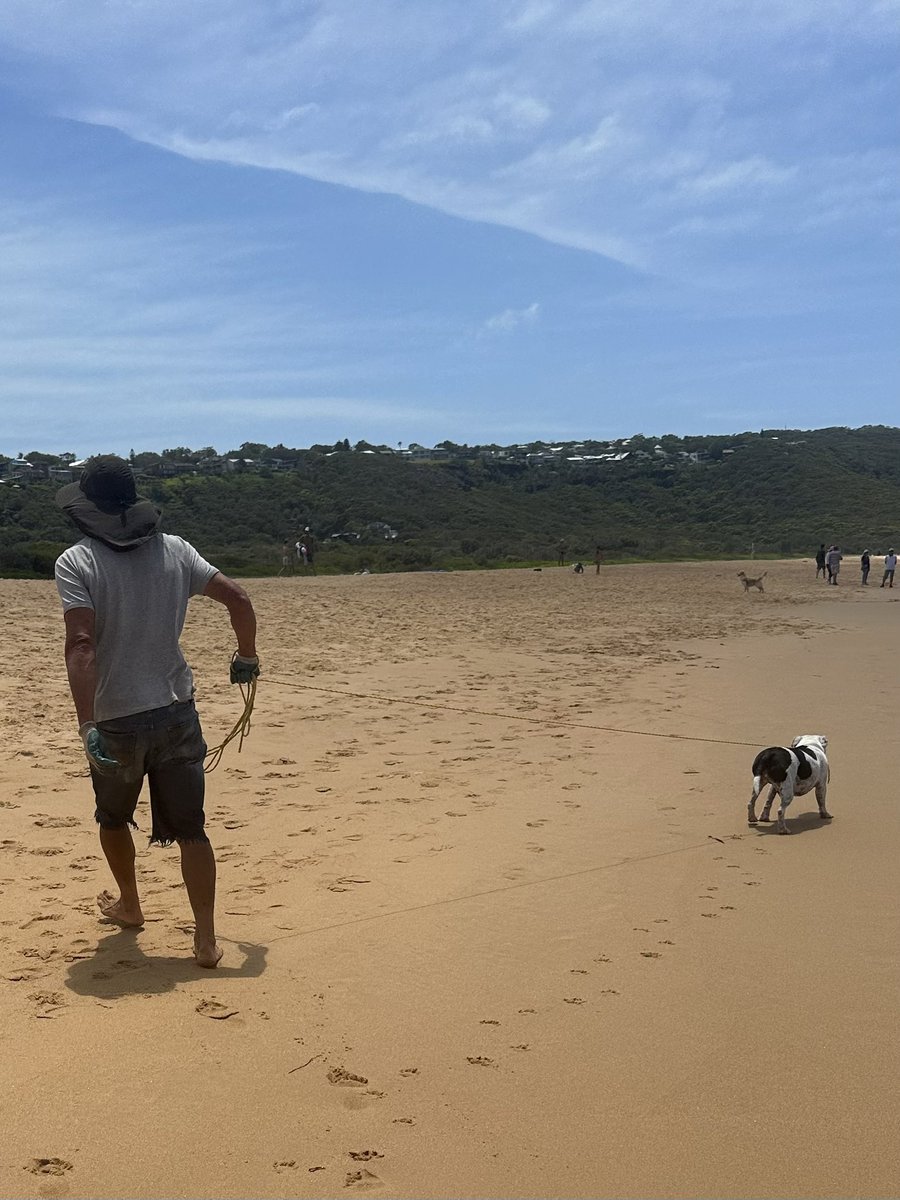 DeborahAnnG's tweet photo. If you see this man with this dog on #Killcare or #Putty beach. Give a WIDE berth. Dog was tied with rope and guy was wearing gloves. Dog was attacking any dogs off leash that came near it… #CentralCoast #dog @CCoastCouncil https://t.co/9O2cSvDZsq