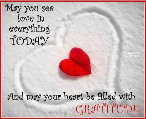 ✨#Gratitude May You See Love In Everything Today ✨