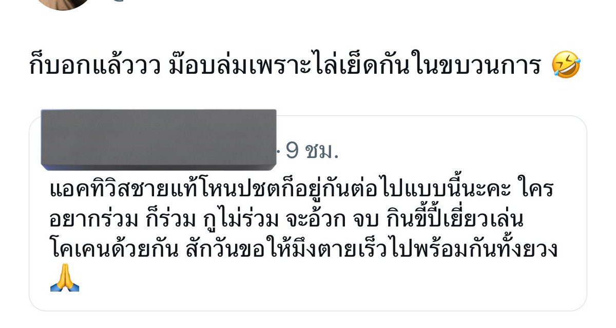 🎀🐰🌹🐻🐸🐶🐈‍⬛🐬 tweet media