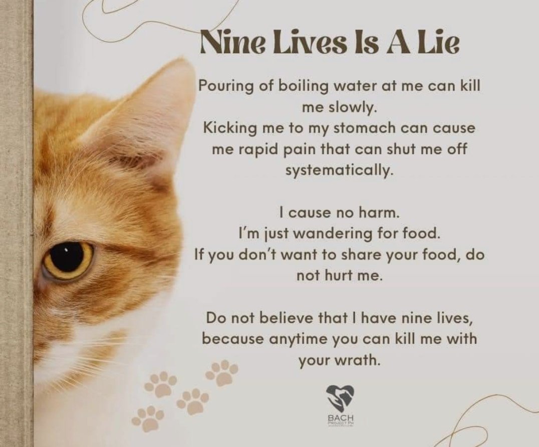 CaprisLeeO0's tweet photo. Love These Beings 💕
And if you ever feel lonely just adopt a #cat 🤍🙌 https://t.co/3URrnZJ3xQ