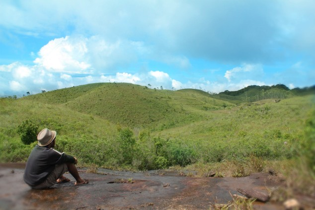 Exploring the impact of carbon credits on biodiversity in Africa. While these projects can provide a valuable source of income for local communities, it's important to ensure that they protect natural ecosystems and support sustainable development. Read more to discover the need