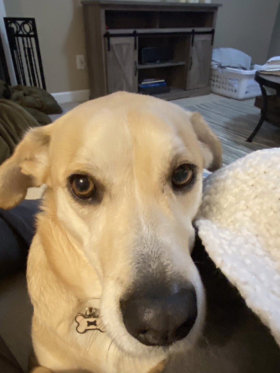 𝒯ℴ𝓃𝒾🪻𝒜𝓃𝓃 (TA or Toni) tweet media