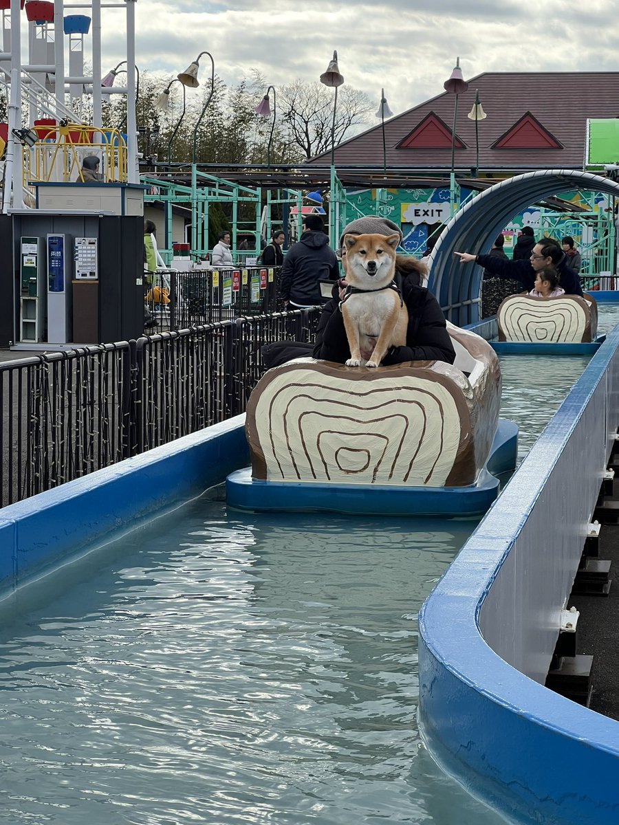 満更でもない犬