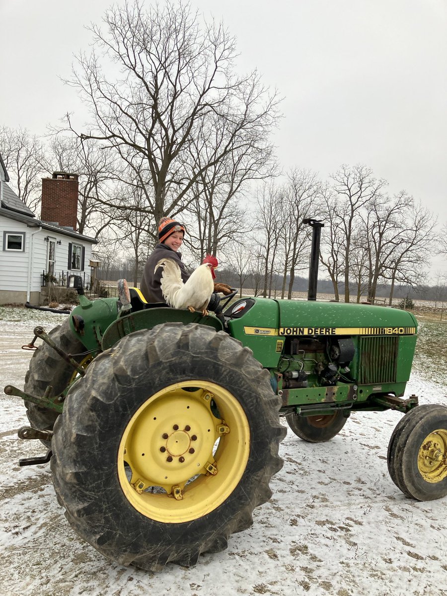 Sometimes Ernie the Rooster likes to go for a tractor ride!