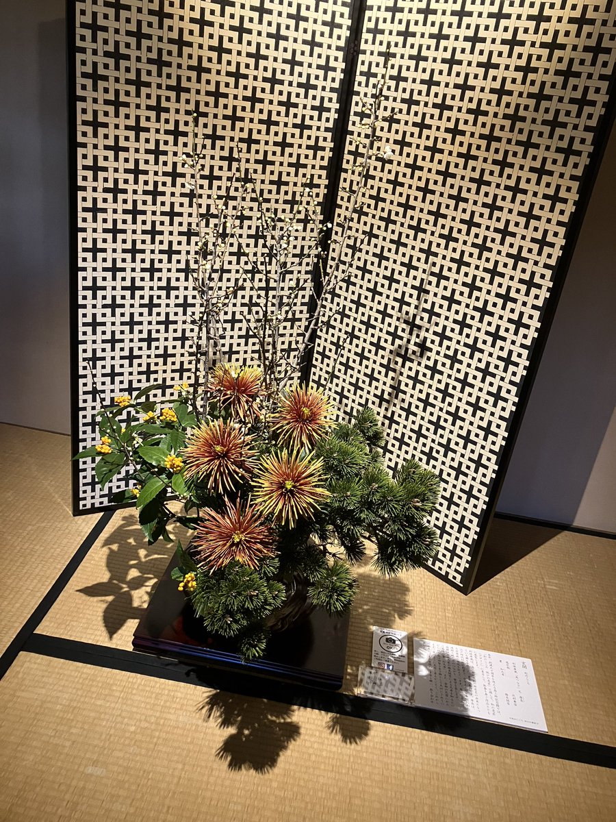 Scarletlady_'s tweet photo. 両親とお気に入りのとこで🍵
今日の週替わりお菓子は花びら餅🌸 https://t.co/oVoaZ9XYGa