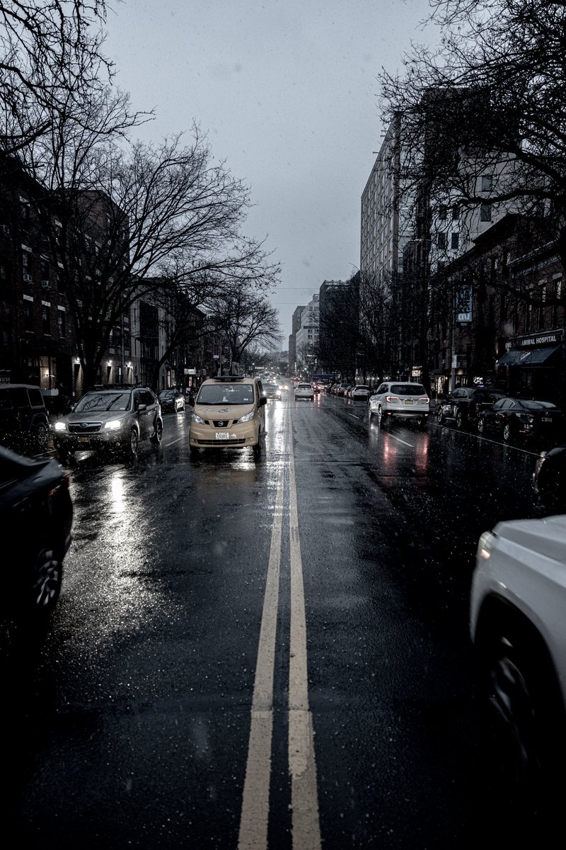 Rad Thibodeaux tweet media