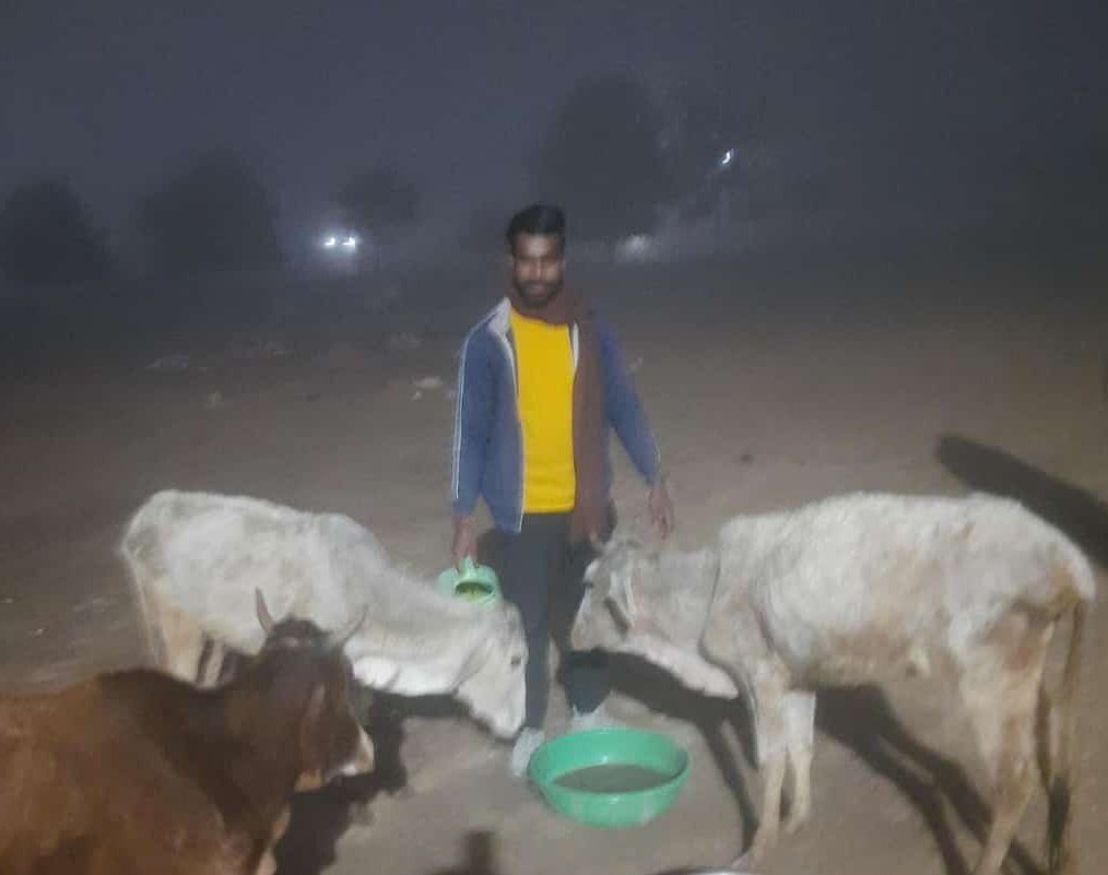 imraghuveer75's tweet photo. सुप्रभात श्री कालाजी गौशाला मे गायो को गुड़ आजवाईन व बाटा गर्म करके पिलाते खिलाते हुए।
#Raghuveerverma https://t.co/OSraZCDmjt