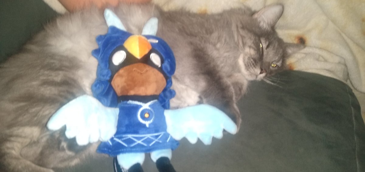Day 130 of Alula Plush

got caught with the cats again