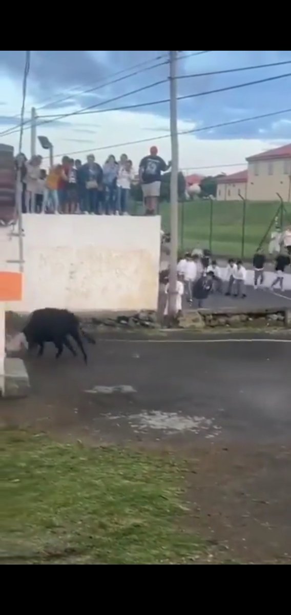 japes🍌 🧡 tweet media