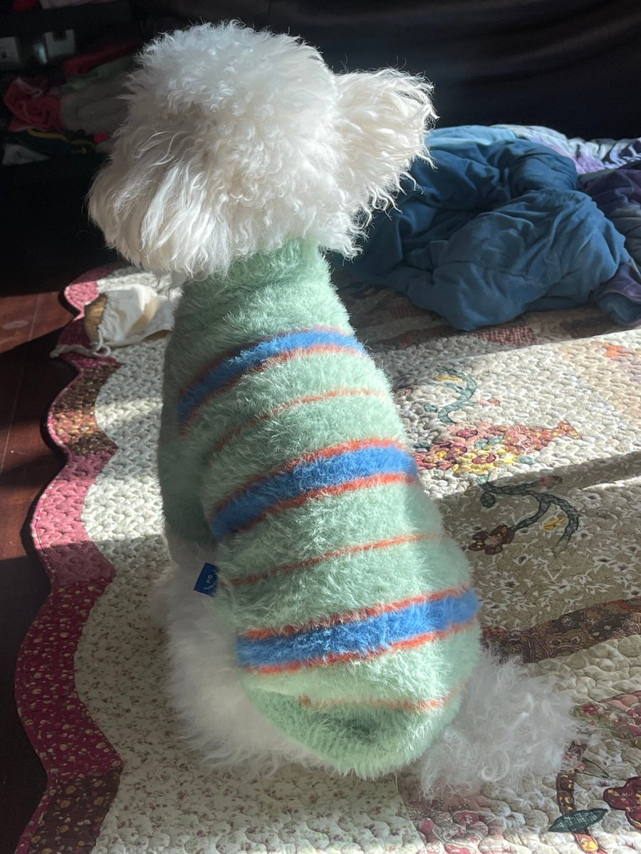 bessieclips's tweet photo. [240107] b.stage update

#Lapillus #라필루스 #Bessie #베시 https://t.co/13h53aCkvQ
