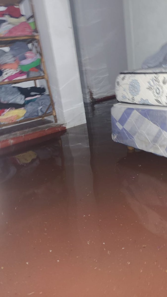 vivalanata's tweet image. Córdoba Capital, Barrio Cabañas del Pilar, después de veinte años de peronismo hoy un matrimonio y sus dos hijos pierden todo ya que los desagües brillan por su ausencia, #peronisno que más decir!!!!
@telefecordoba @eldoceoficial @canal10cba @gobdecordoba @MuniCba @PasseriniOk