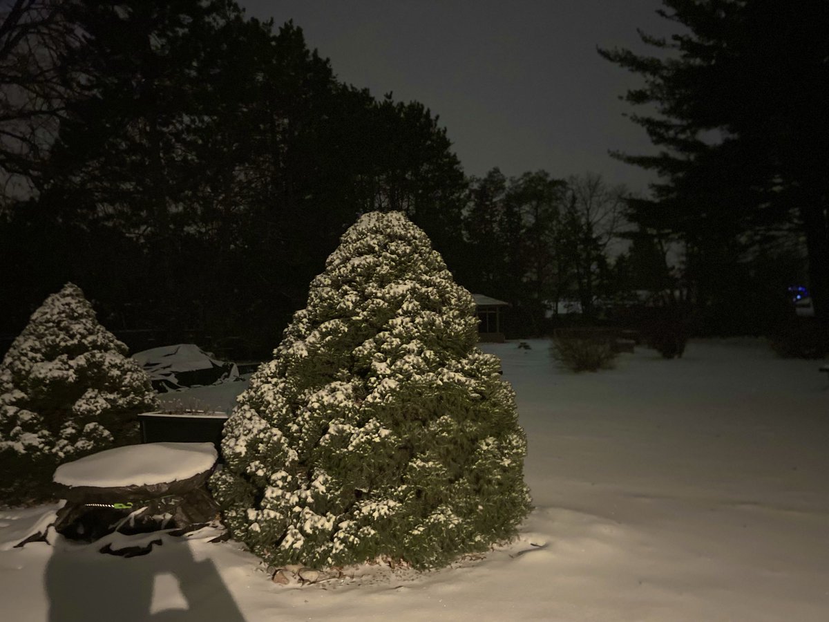 rbclouston's tweet photo. First snowstorm of 2024 in Ottawa, Ontario, 06-07Jan

~2cm light snow has fallen so far in Merivale Gardens, ~1am LT

Temperature -10C (14F)
Wind ENE 21 km/h (13 mph)

Sound of city’s snow ploughs busy at work in the distance

#OTTStorm #OTTwx #ONwx #ONStorm https://t.co/vLppAkH1UV
