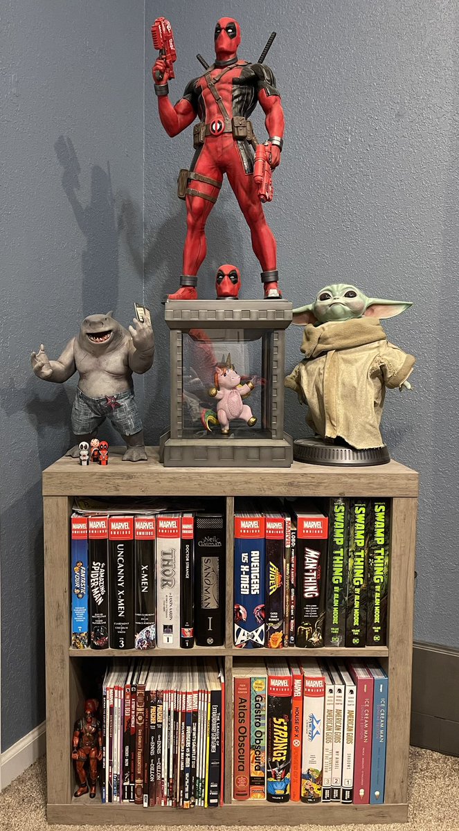 New Shelfie. Had to slow my collecting this yr but it is still coming along nicely