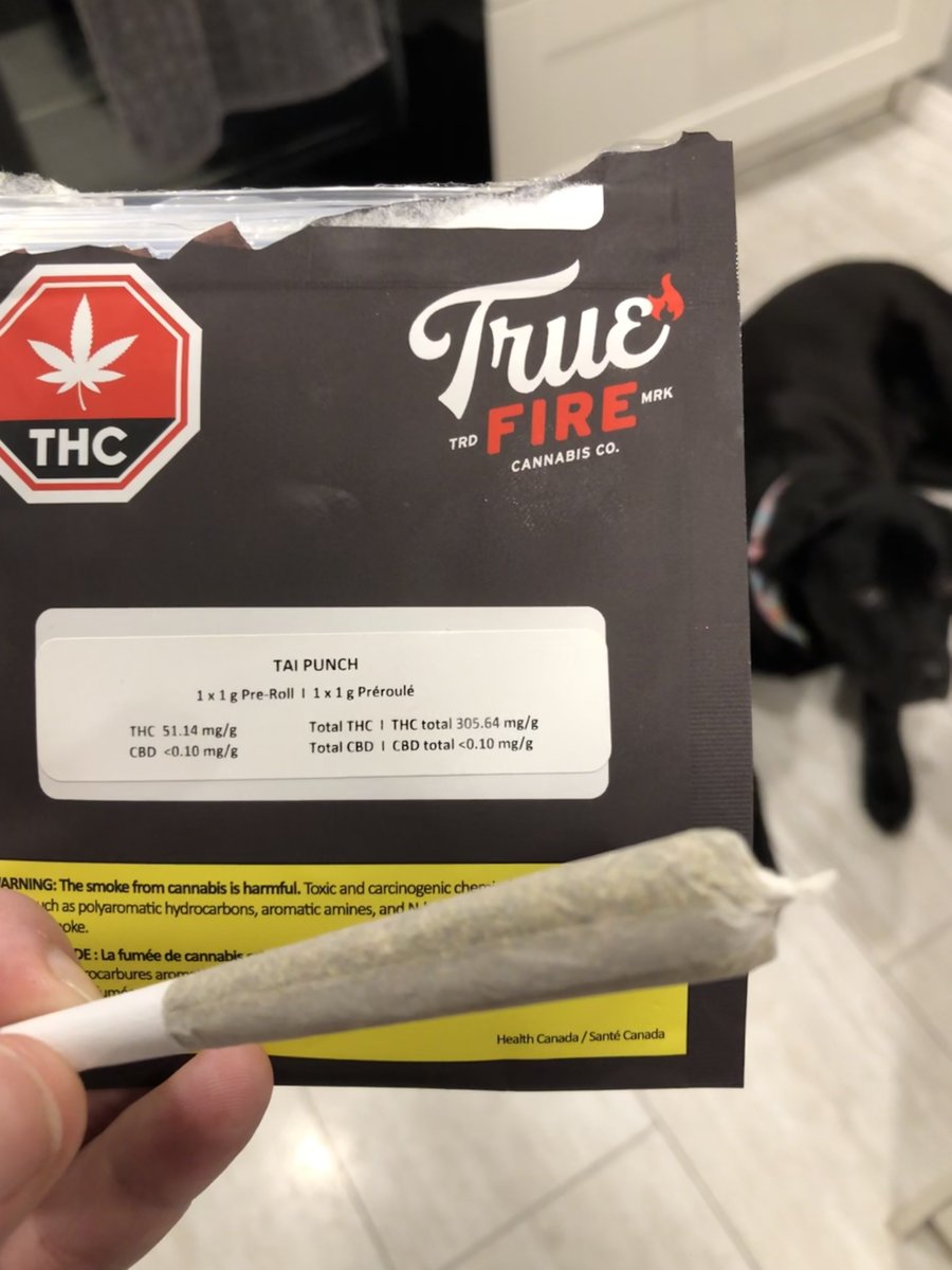 StonerDad 🇨🇦 tweet media