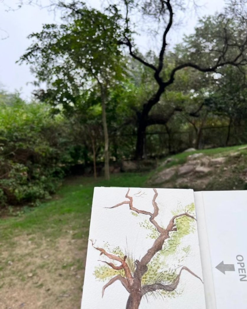 Snapshots from the Nature Journaling Workshop at Sanjay Van yesterday. Happy to see many people brave the cold and come and paint😃

#naturejournal #treelove #TwitterNatureCommunity #artworkshop #artevents #delhievents #sodelhi #IndiAves