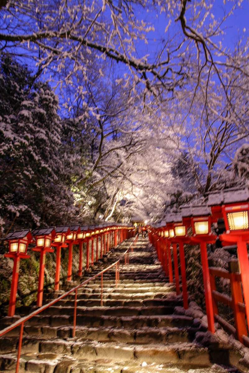 zenlabo's tweet photo. 貴船神社の降雪日のライトアップ。
天気予報を見ながら、楽しみにしてます。 https://t.co/uT0uOS5AtY