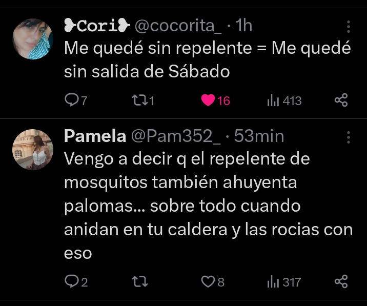 caporedigton1's tweet photo. #Combitut entre @cocorita_ y @Pam352_ 🤣 https://t.co/eYGw1pTgzY