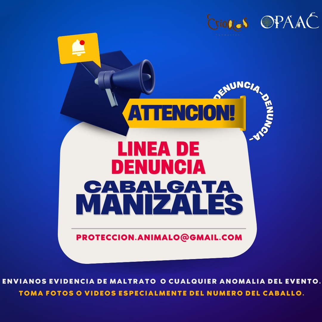 OPAAC_Col's tweet photo. #Manizales estaremos realizando seguimiento a la #Cabalgata de la ciudad este domingo 7 de enero, si estás presente en algún punto dónde exista maltrato animal, etiquetanos o envianos tus evidencias al siguiente correo. https://t.co/0bgACyfox5