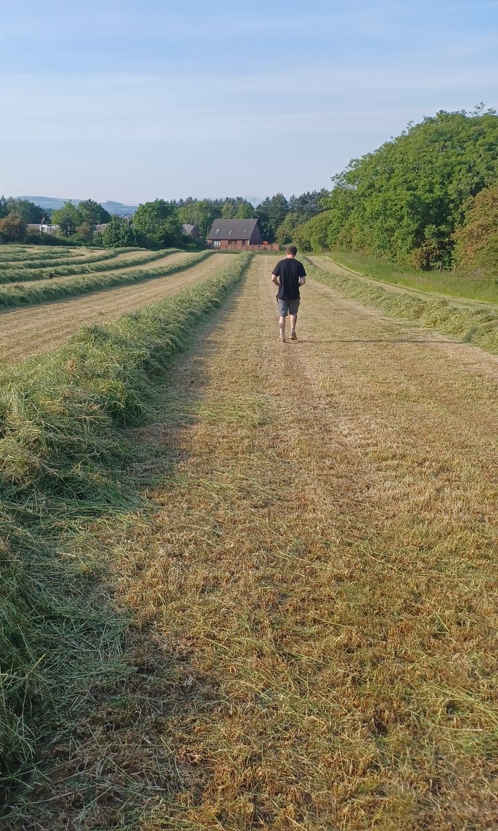 andrew horne tweet media