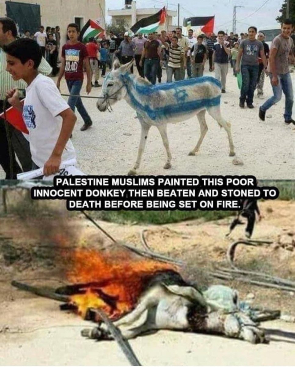 They are animals themselves. Heartless, barbaric terrorists!!!! How long until we see this in the streets of Canada?