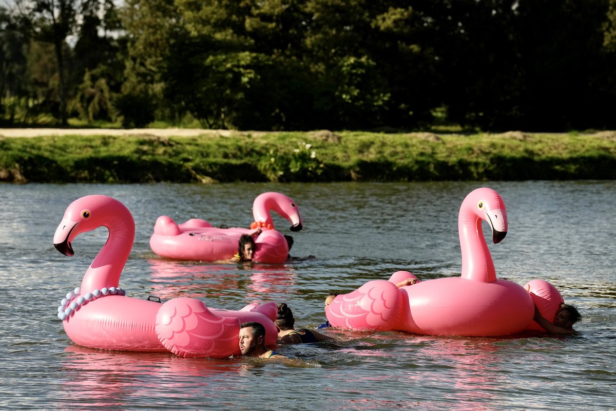 💜🦩 …except when in a freezing Bogota lake 🆘🤪 #BuddyGames #pollyanna