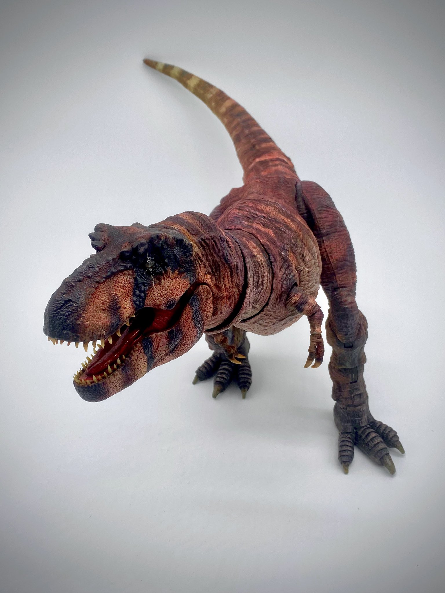 🍉Archesuchus🪶 on X: 