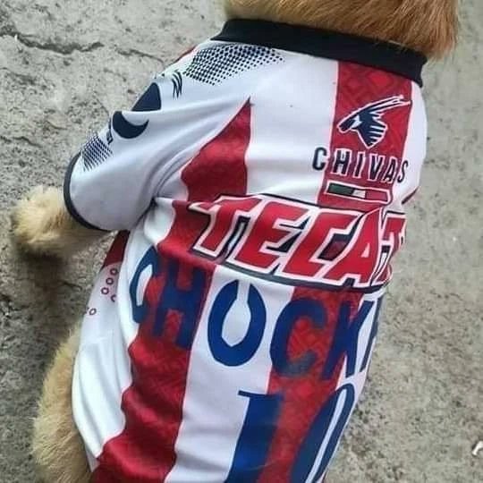 ChivasShitpost's tweet image. si llegaron los reyes banda